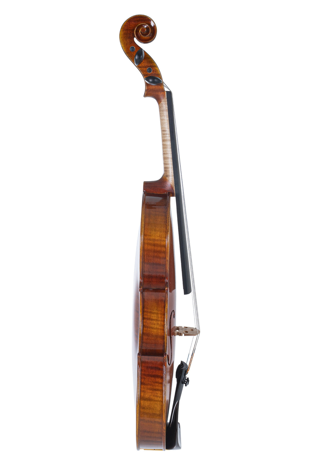 GEWA Geigen Maestro 1 - 4/4 (Spielbereit inkl. GEWA Bio Geigenkoffer, ohne Bogen, mit Il Cannone Saiten)