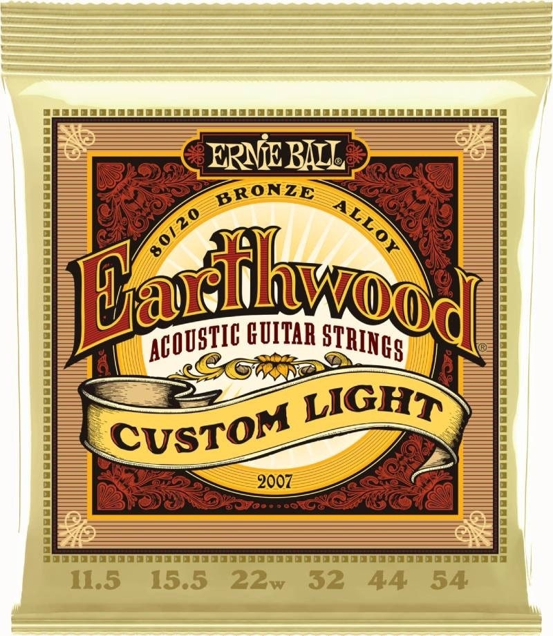 Ernie Ball 2007 Earthwood 80/20 Custom Light