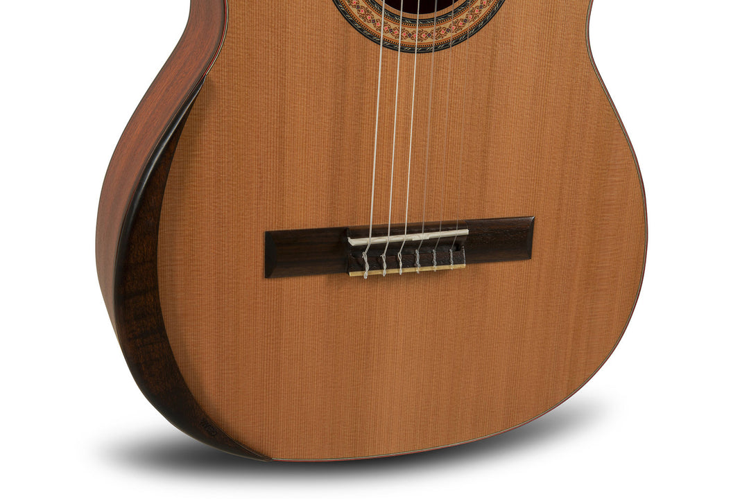 Manuel Rodriguez TRADICÍON Serie T-65 4/4 Größe - 4/4 Größe (T-65)