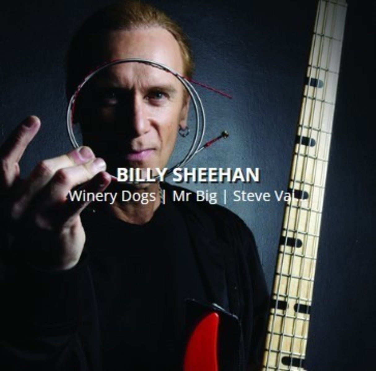 Rotosound E-Bass Saiten Swing Bass 66 - Satz 4-saitig Billy Sheehan Custom 43-110 (BS66)