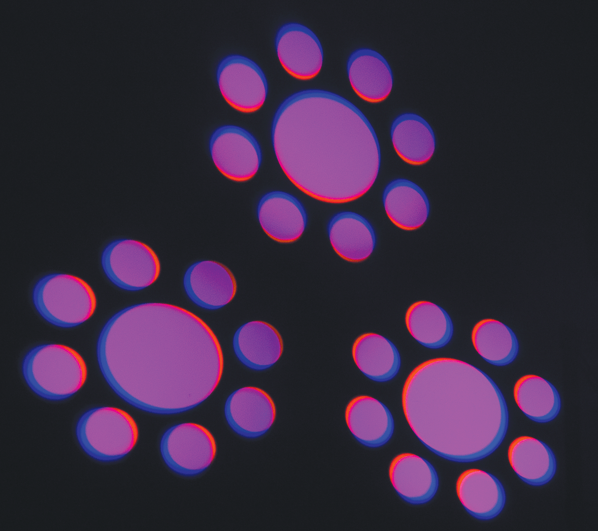 AFX MY60 Moving Head (60W)