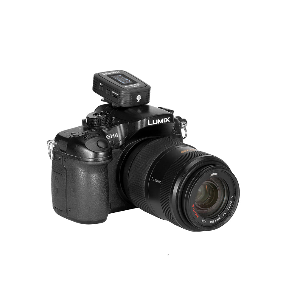 Blink 500 Pro RX Receiver (TRS)