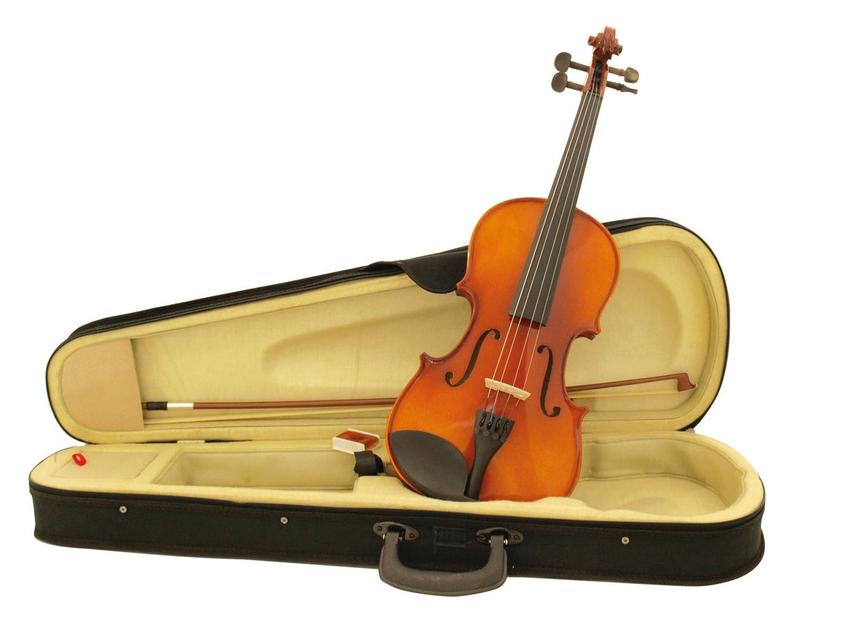 DiMavery Violin 4/4 with bow and Case