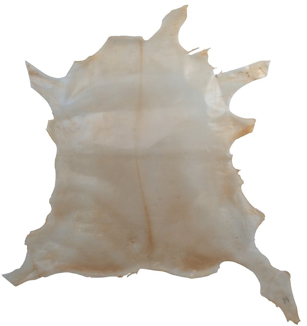 GEWA Kalbspergament, transparent, ganze Haut