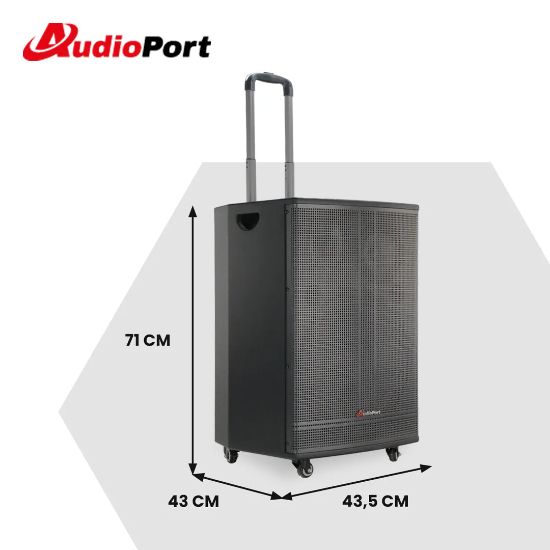 Audioport V15 tragbarer aktiver Lautsprecher mit 500 W und 2 mikrofonen