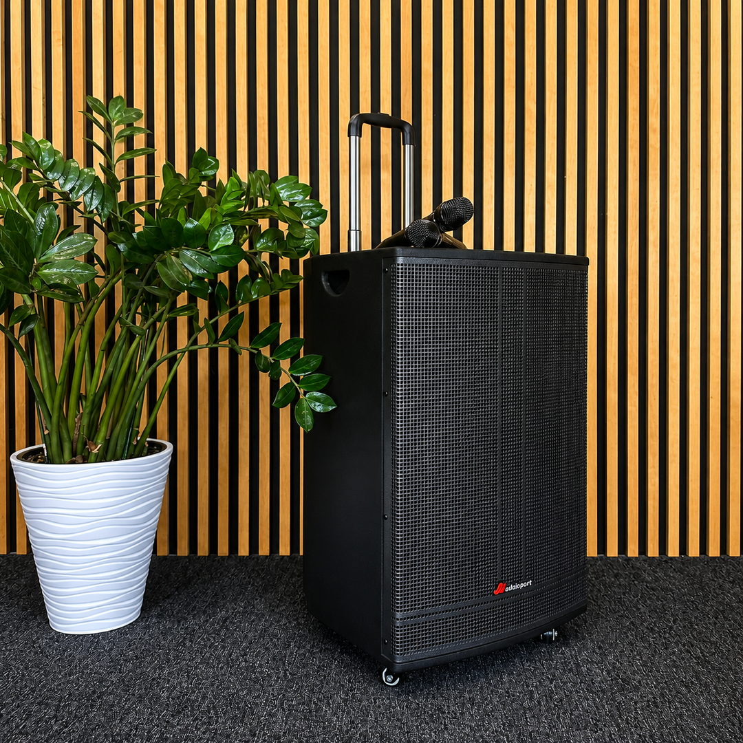 Audioport V15 tragbarer aktiver Lautsprecher mit 500 W und 2 mikrofonen