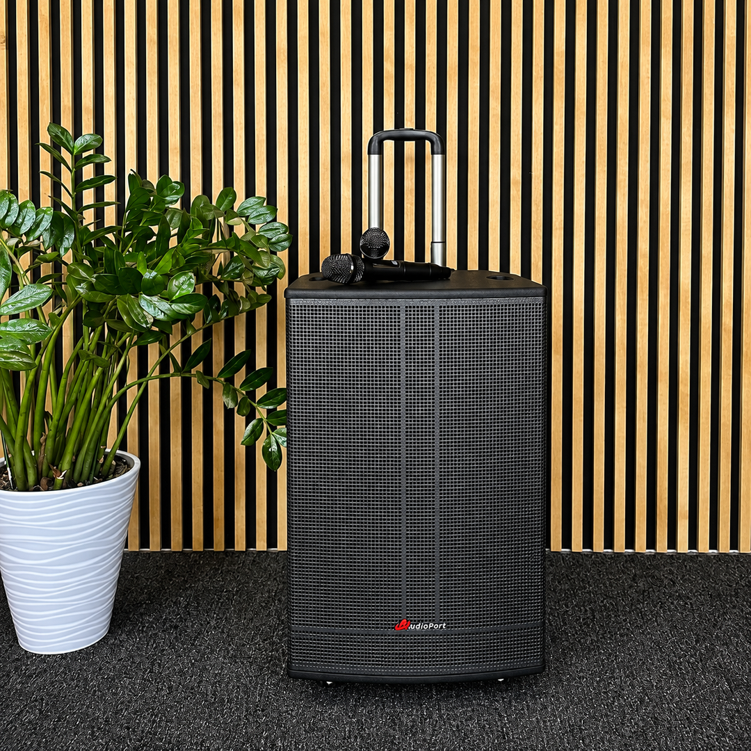 Audioport V15 tragbarer aktiver Lautsprecher mit 500 W und 2 mikrofonen