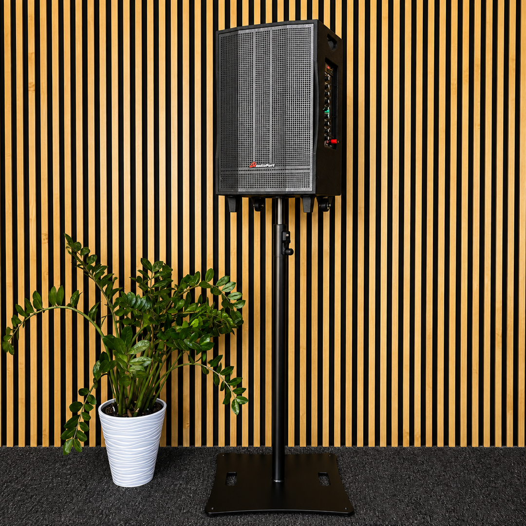 Audioport V15 tragbarer aktiver Lautsprecher mit 500 W und 2 mikrofonen