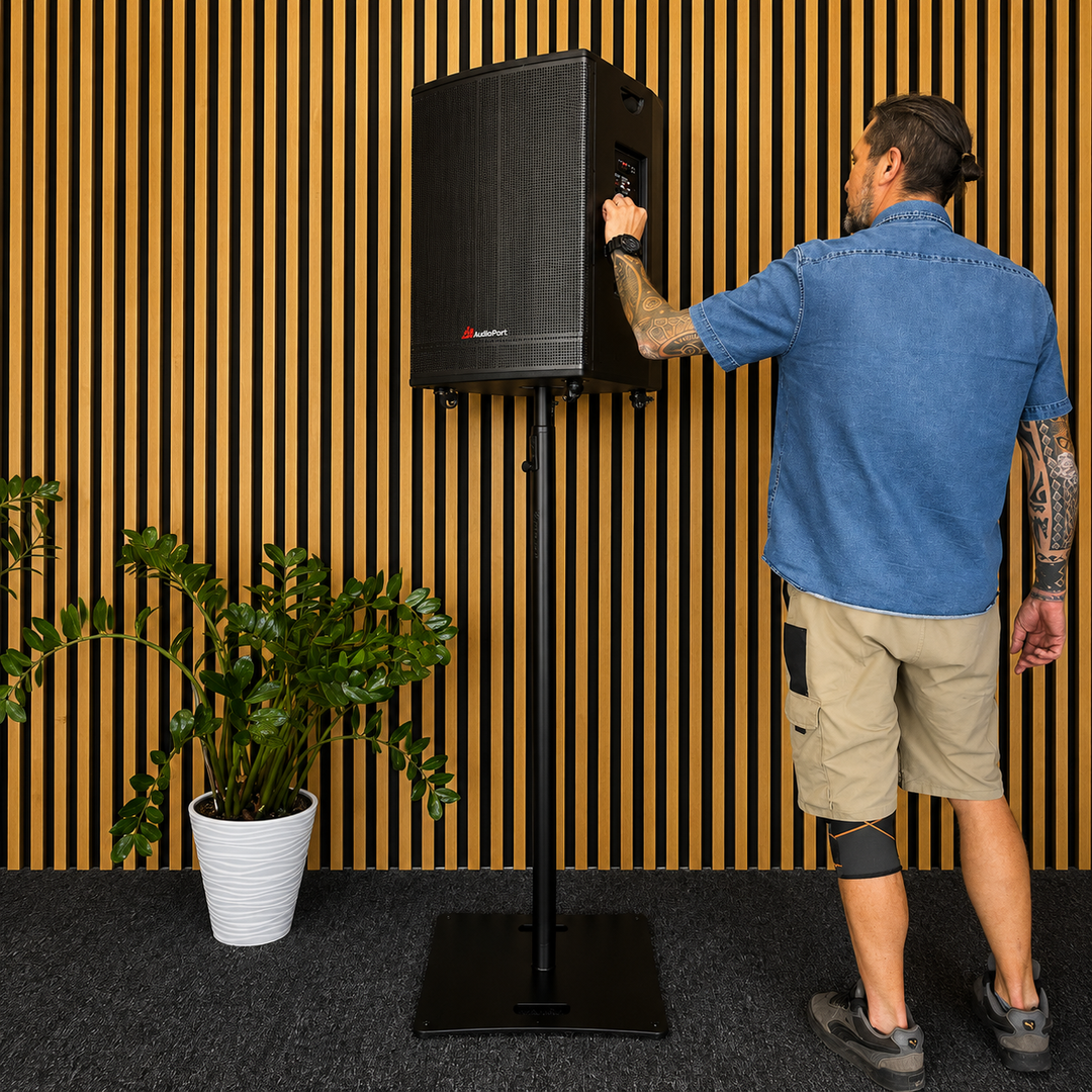 Audioport V15 tragbarer aktiver Lautsprecher mit 500 W und 2 mikrofonen