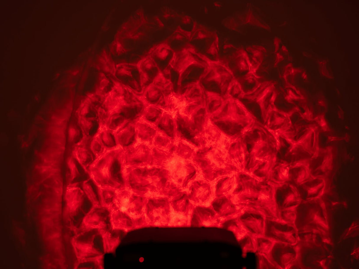 Eurolite WF-30 H2O Effect (DMX)