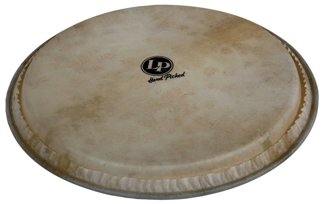 Latin Percussion Djembe Fell Hand Picked - 12,5" Ziegenfell (LP961)