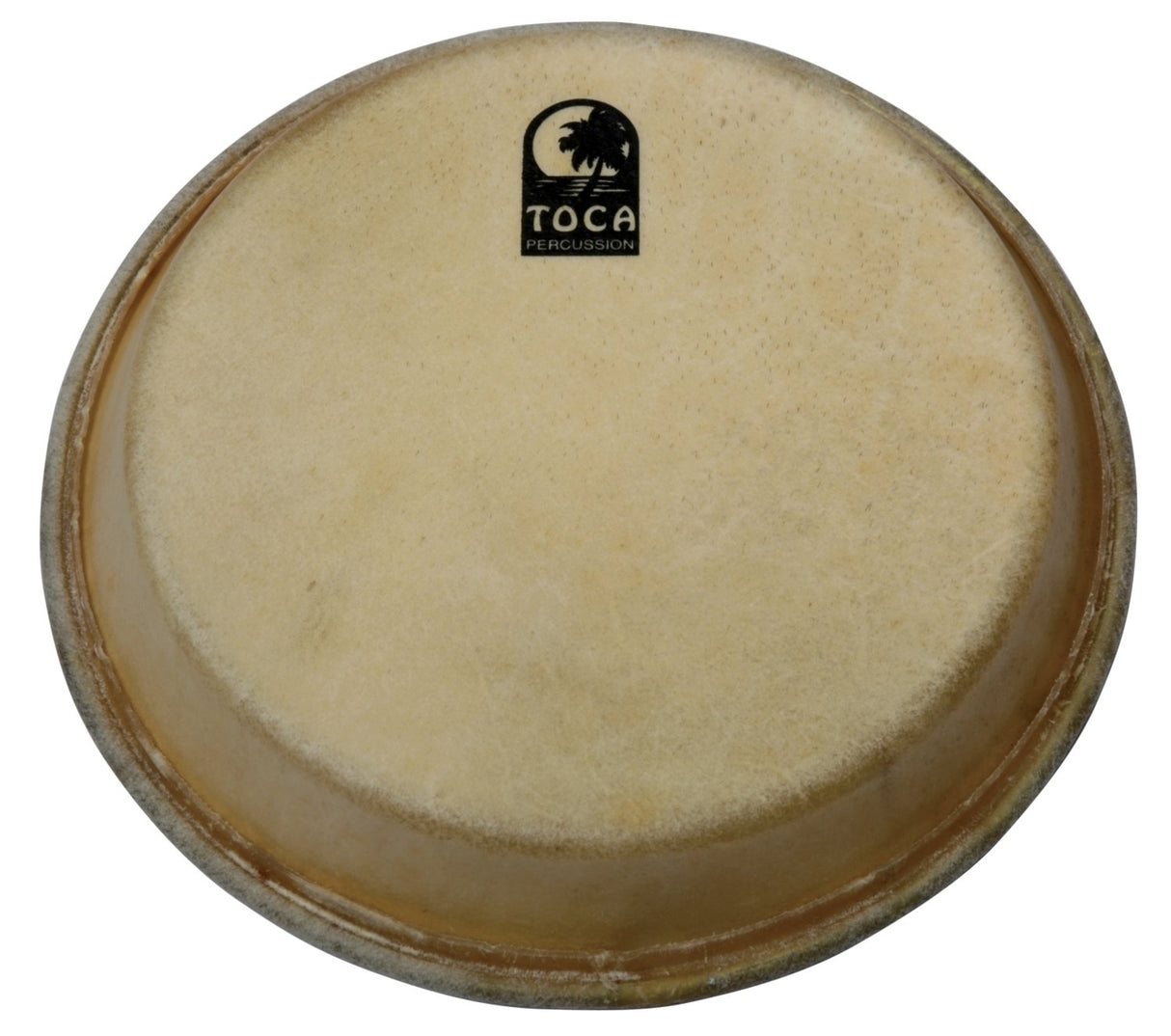 Toca Percussion head Traditional Series Conga & Bongo - 12 1/2" Conga (TP-39012-1/2)