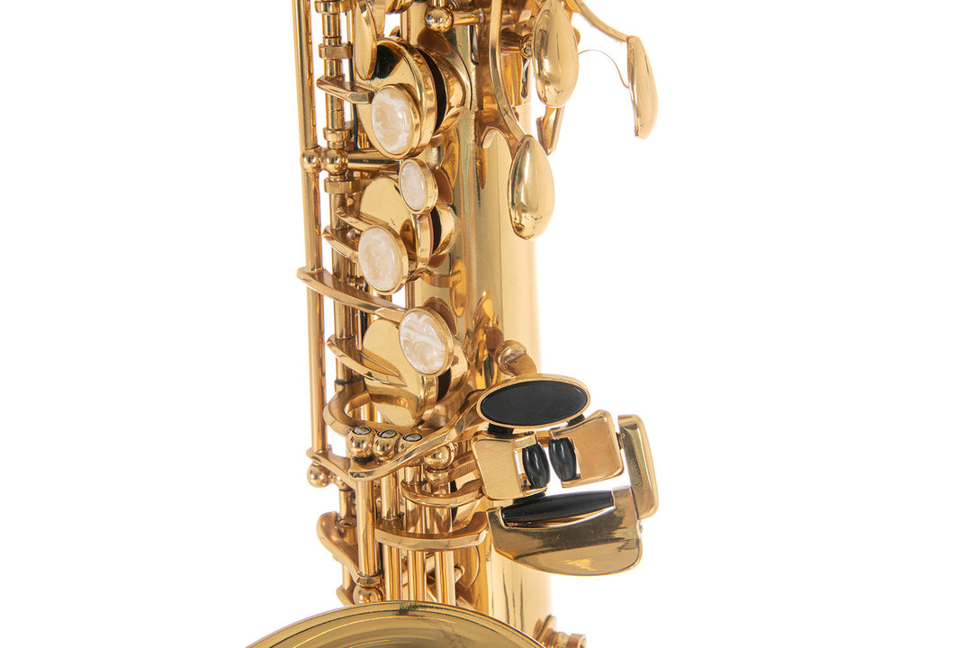 Roy Benson Eb-Altsaxophon Roy Benson AS-202 - AS-202