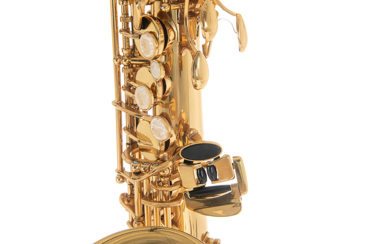 Roy Benson Eb-Altsaxophon Roy Benson AS-202 - AS-202