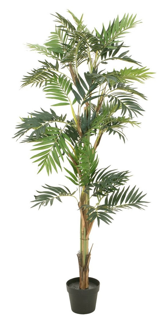 Parlor palm, artificial plant, 150cm