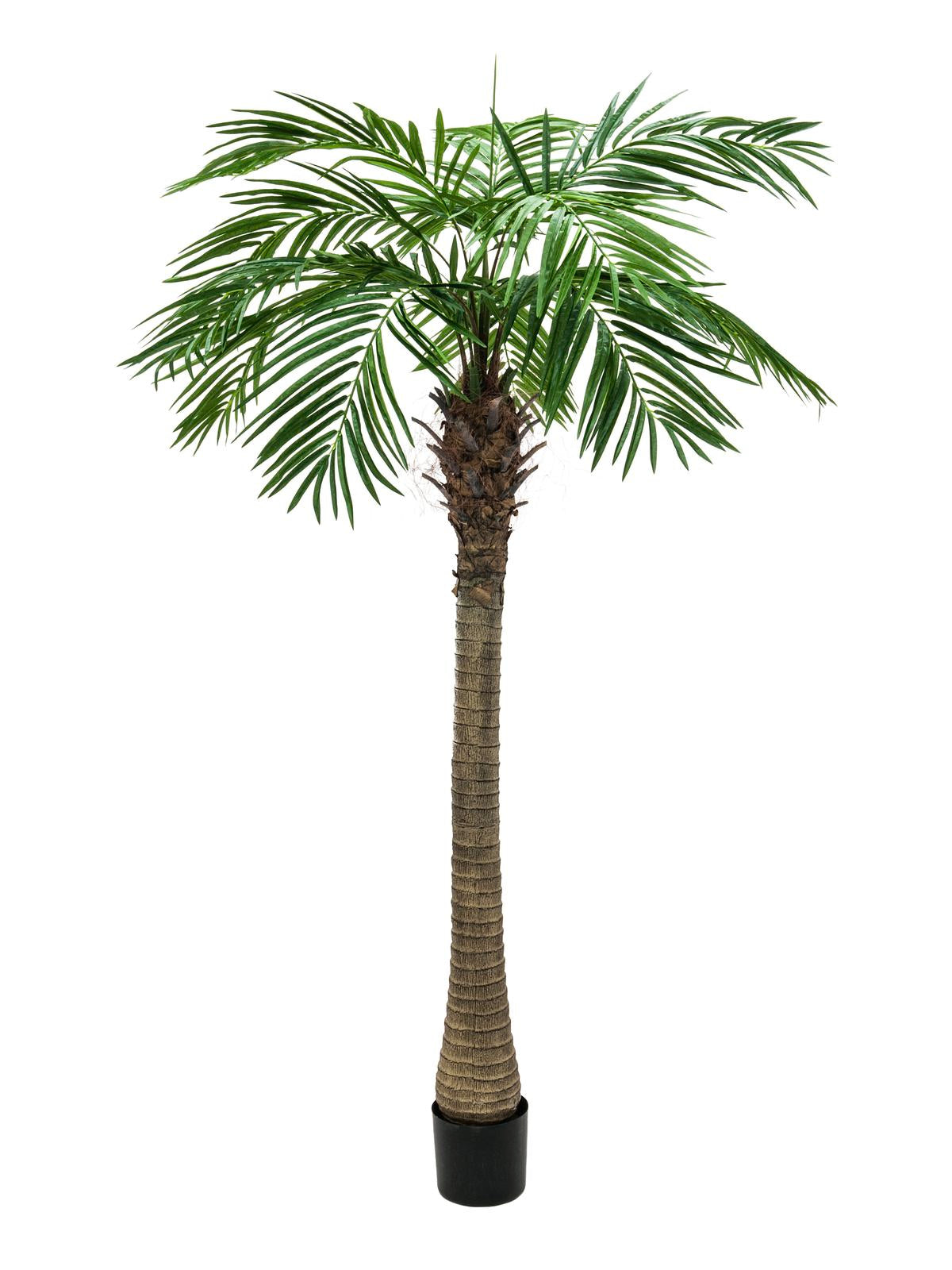 Phoenix Palm Tree Luxor 150 cm
