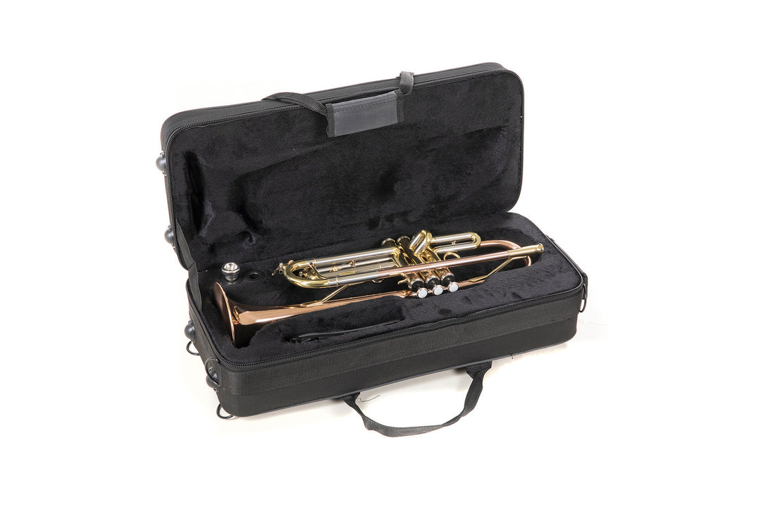 Roy Benson Bb-Trompete Roy Benson TR-202G - TR-202G