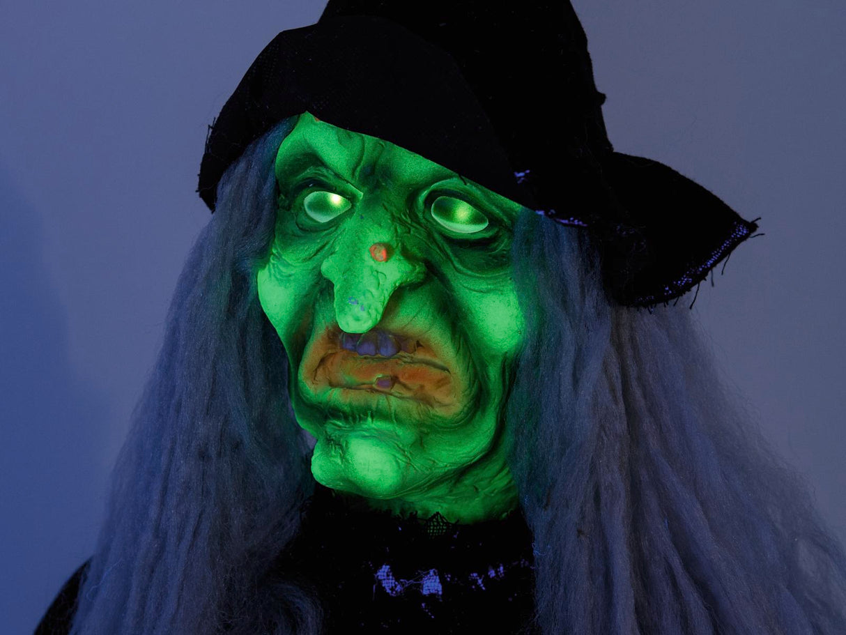 Halooween animated flyvende witch