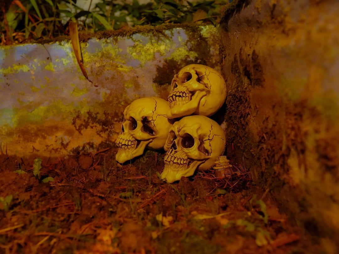 Halloween-kranier i sort og hvid, 3 stk.