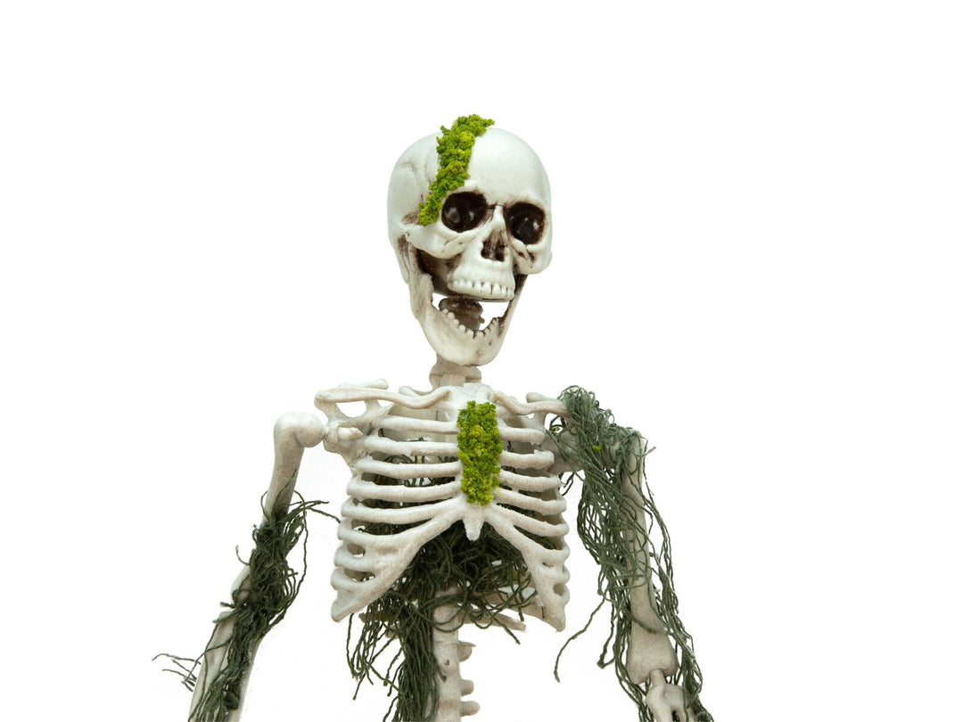 Halloween-Skelett mit Moos, 40 cm