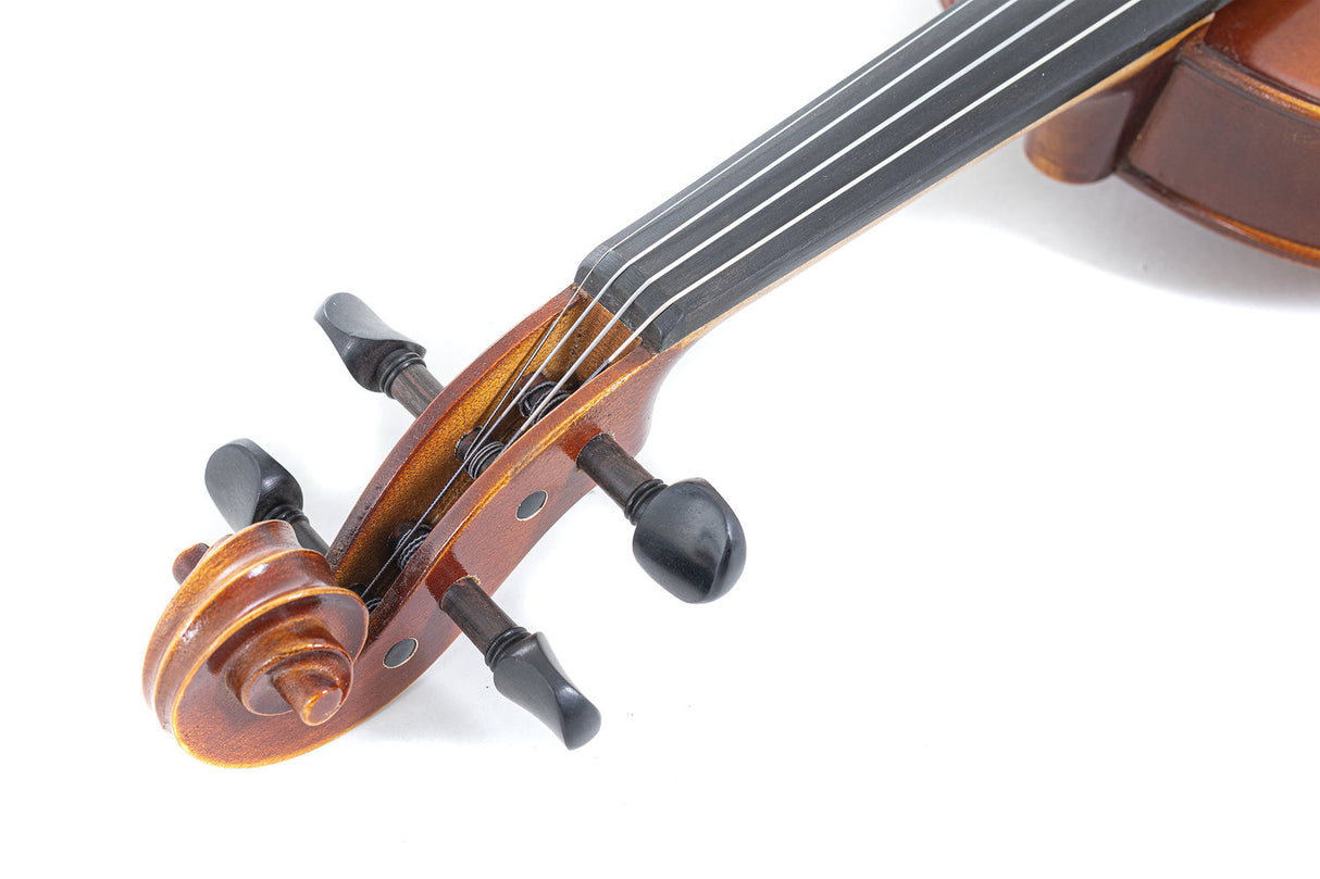 GEWA Violin Allegro - 1/2 (Ready to play incl. shaped case, without bow, with Larsen Aurora strings, transport-secured)