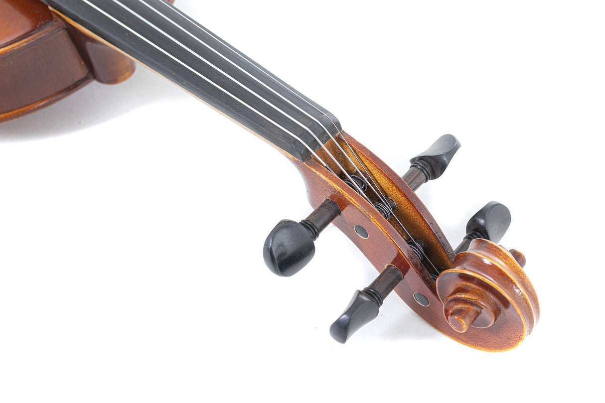 GEWA Violin Allegro - 4/4 lefthand (Ready to play incl. shaped case, carbon bow, Larsen Aurora strings, transport-secured)