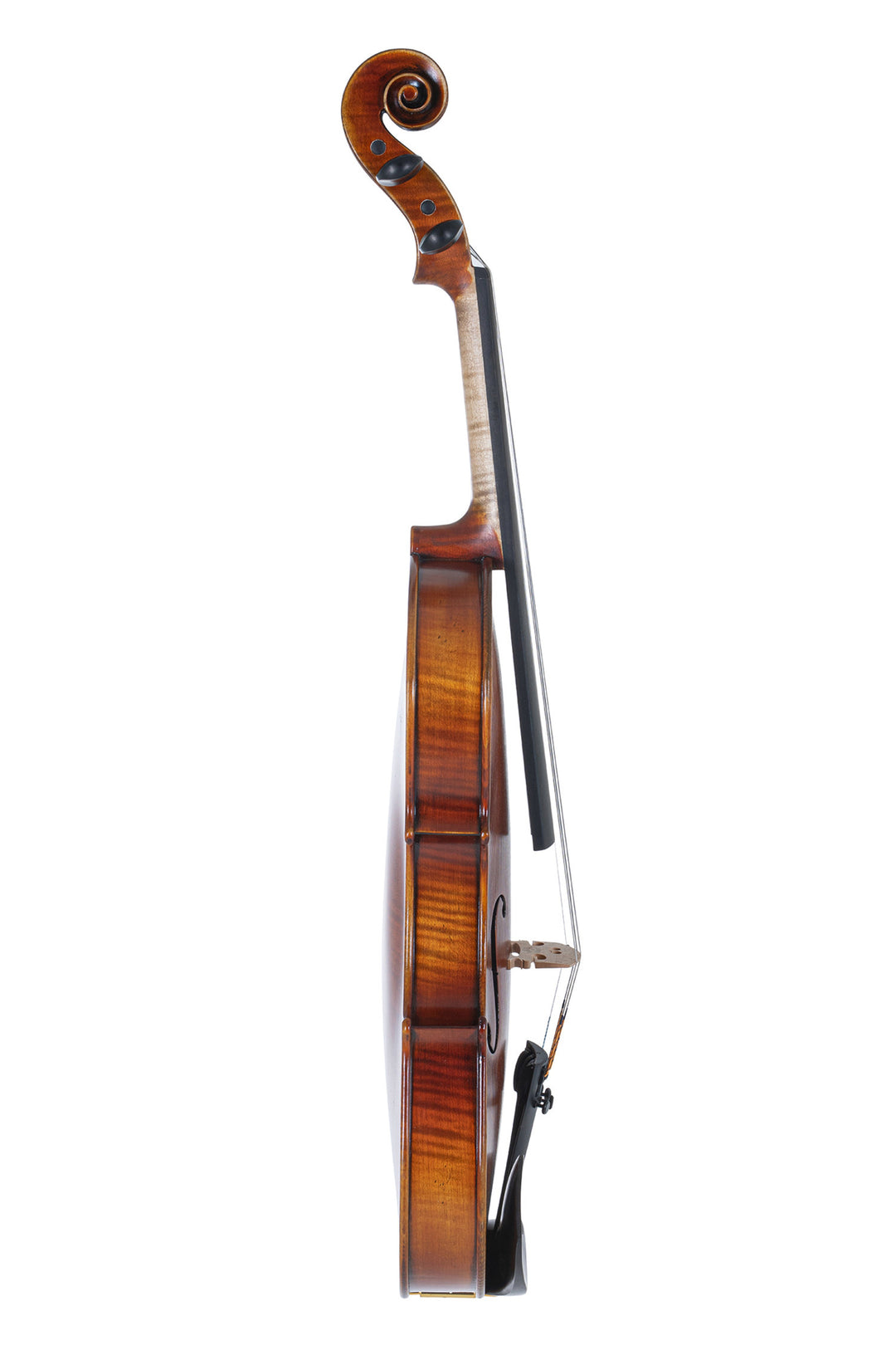 GEWA Geigen Maestro 2 - 4/4 (Spielbereit inkl. Geigen case, ohne Bogen, mit Il Cannone Saiten, transportsicher)