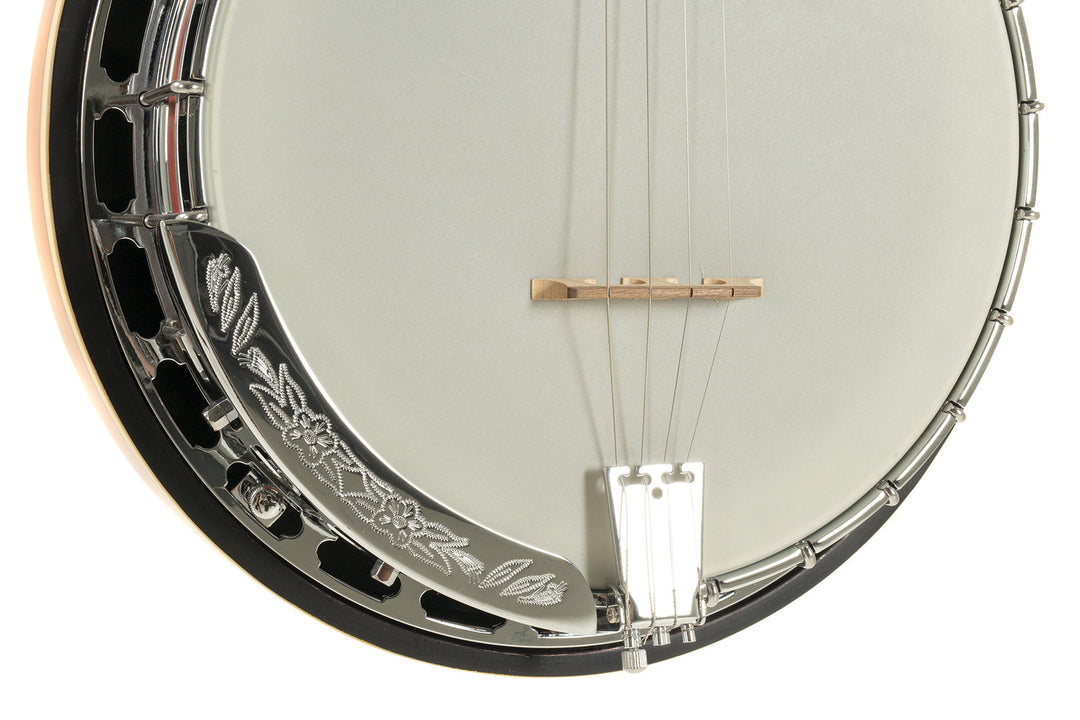 GEWA Banjo Premium - 4-saitig (mit case)