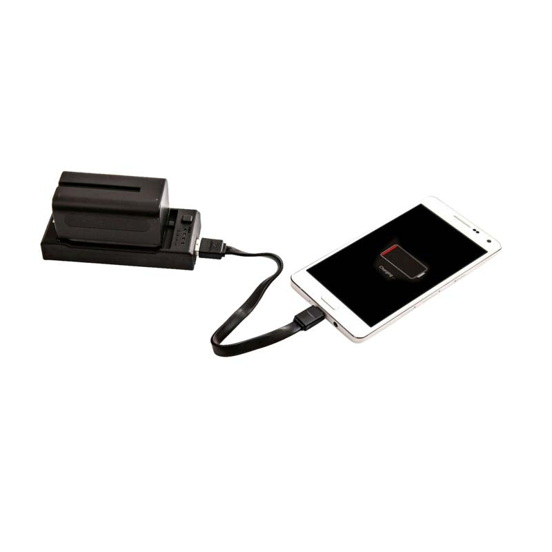 Nanlite CN-58 2-1 Ladegerät für NP-Typ Batterien