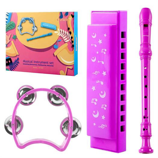 Harmonikas, Recorders und Tamburin-Set in Pink.