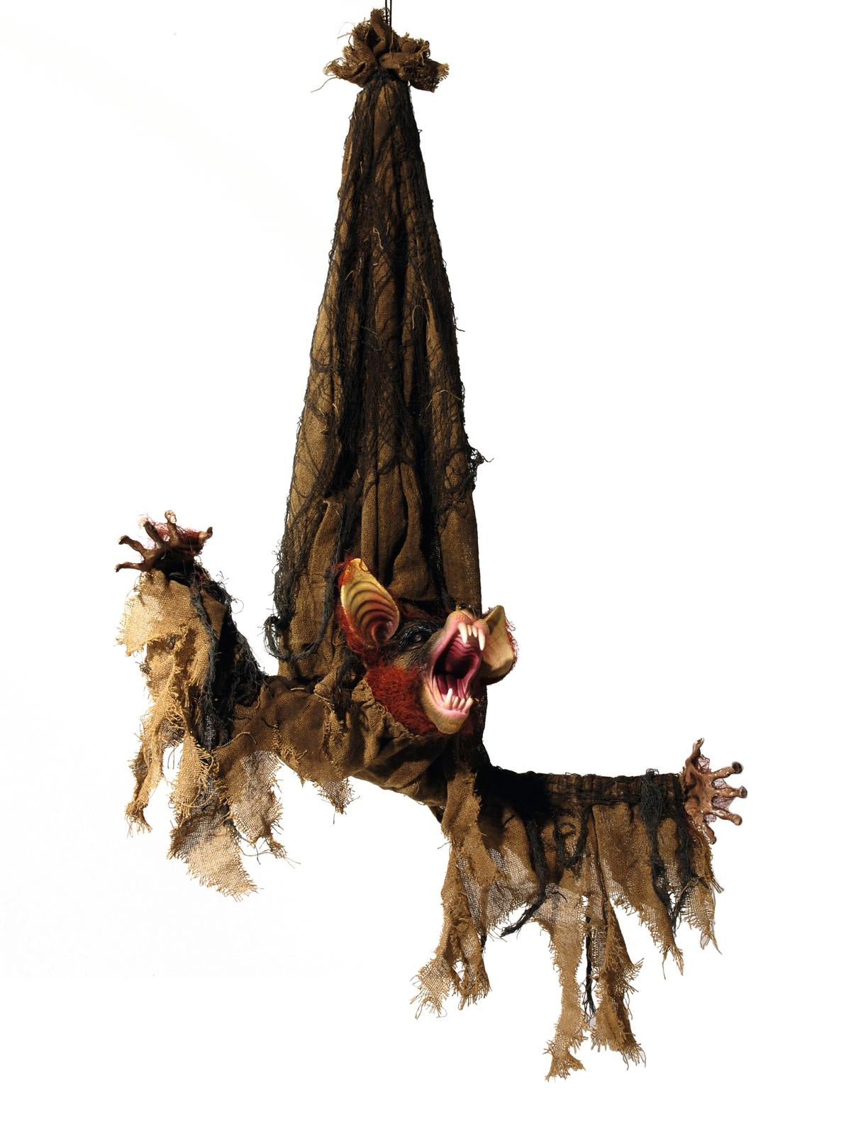 Halloween bat, animered