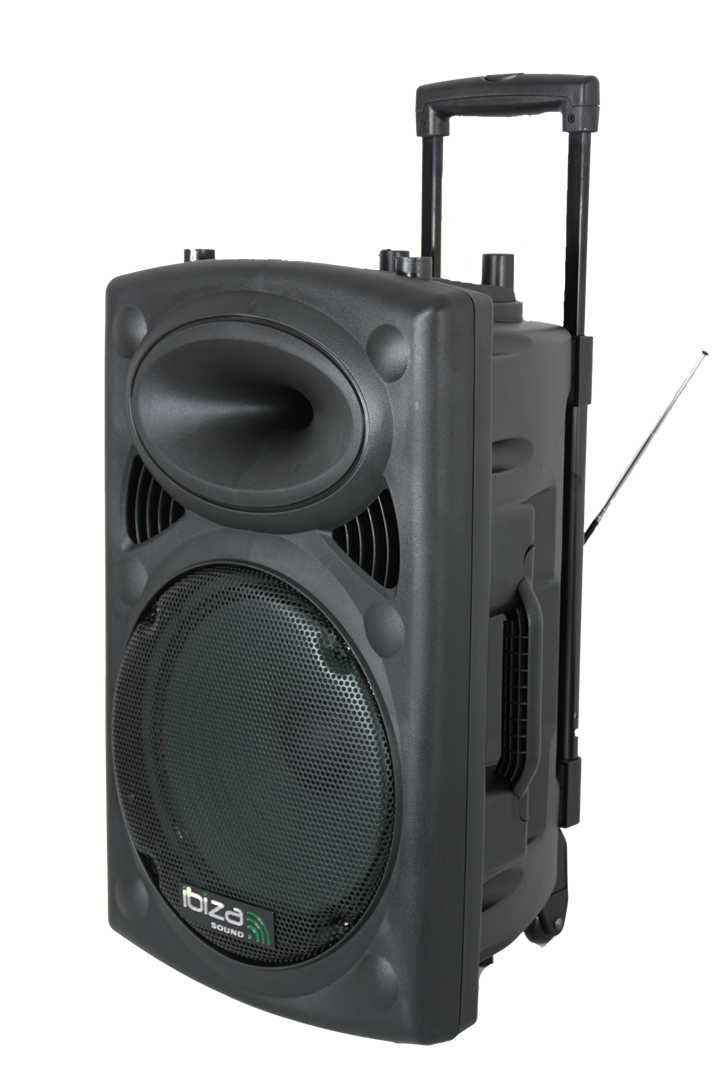 Ibiza Tragbarer Lautsprecher mit 15" Bass (Schwarz, 800W)