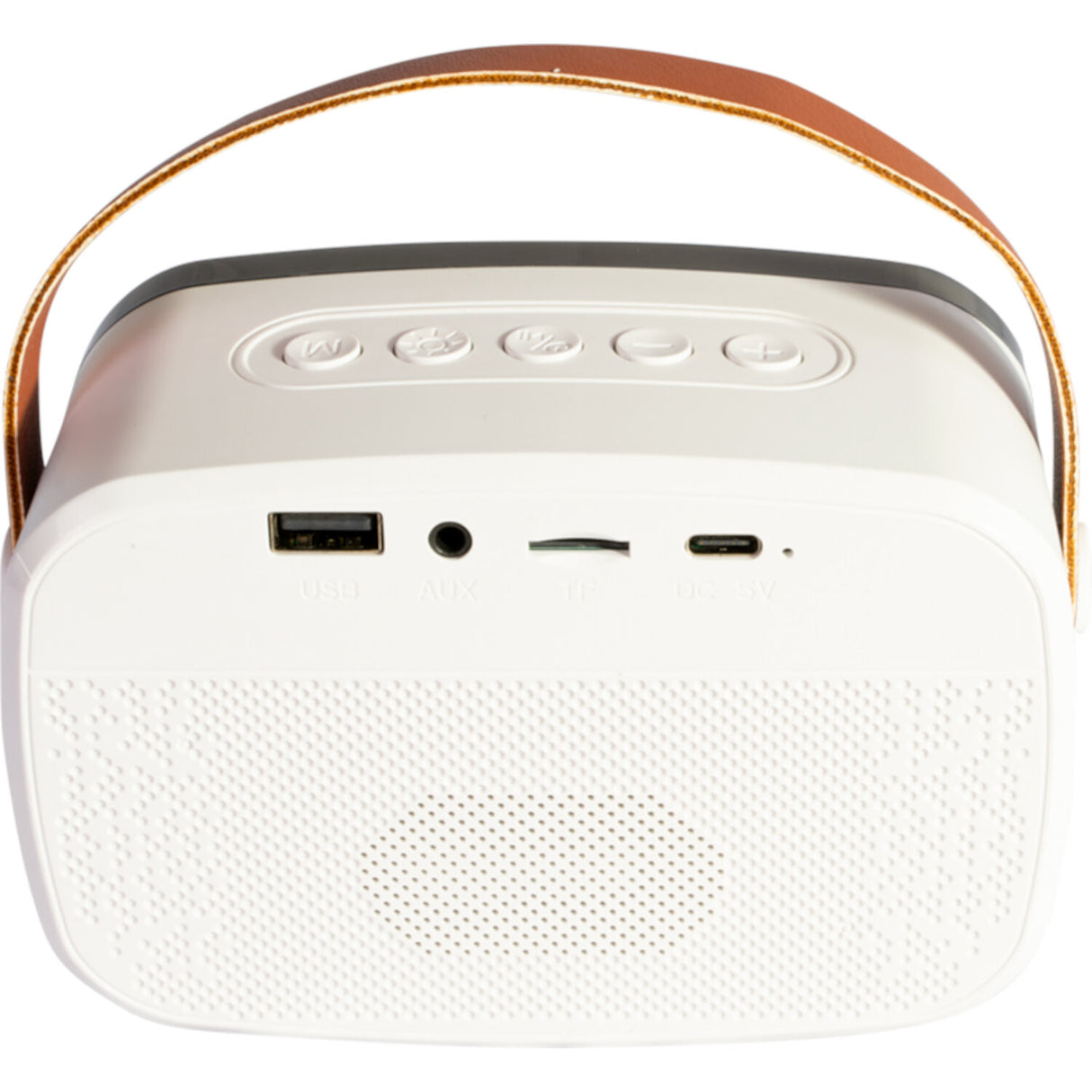 Ibiza Smart Karaoke Bluetooth-Lautsprecher mit 2 kabellosen Mikrofonen