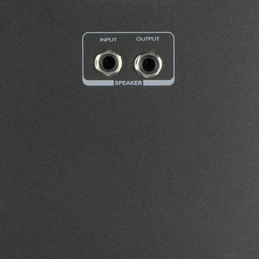 LD Systems Roadman 102 Slave Tragbare Passiv-Lautsprecher