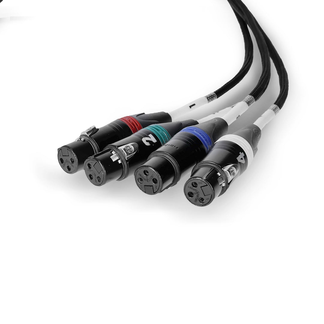 Palmer AoC Loom XLRf - Audio über Cat-Kabel von etherCON zu 4 x XLR weiblich