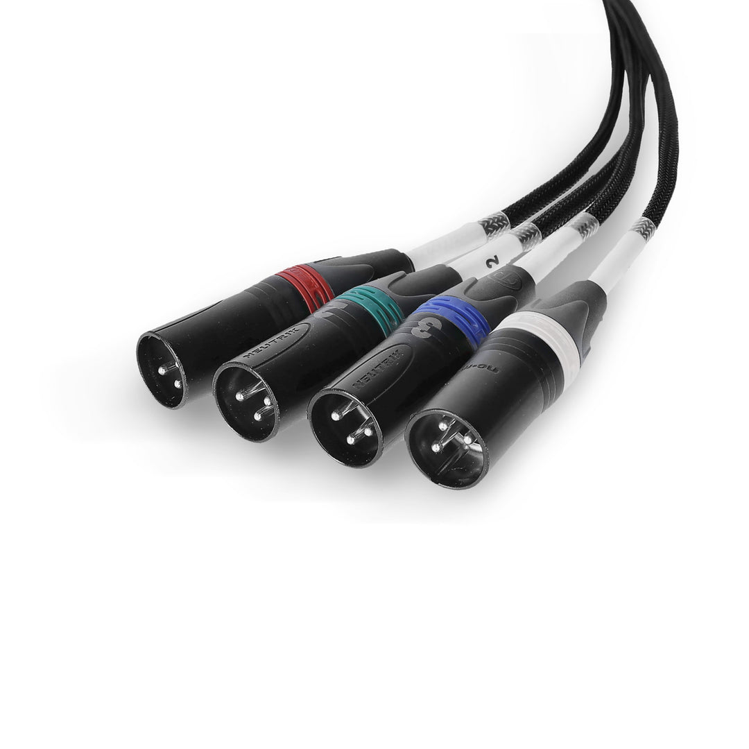 Palmer AoC Loom XLRm - Audio über Cat-Kabel von etherCON zu 4 x XLR männlich