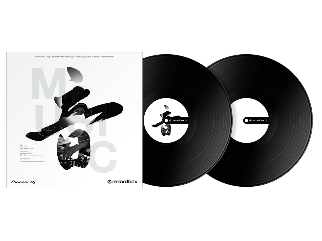 RB-VD2-K Rekordbox Control Vinyl (Satz von 2) (schwarz)