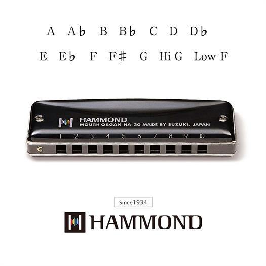 Suzuki Hammond HA-20 Harmonikas (F#)