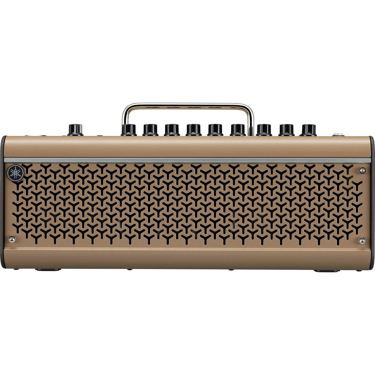 Yamaha THR30II Wireless Akustik Gitarrenverstärker