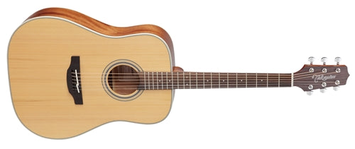 Takamine GD20-NS Western Guitar (Natural)
