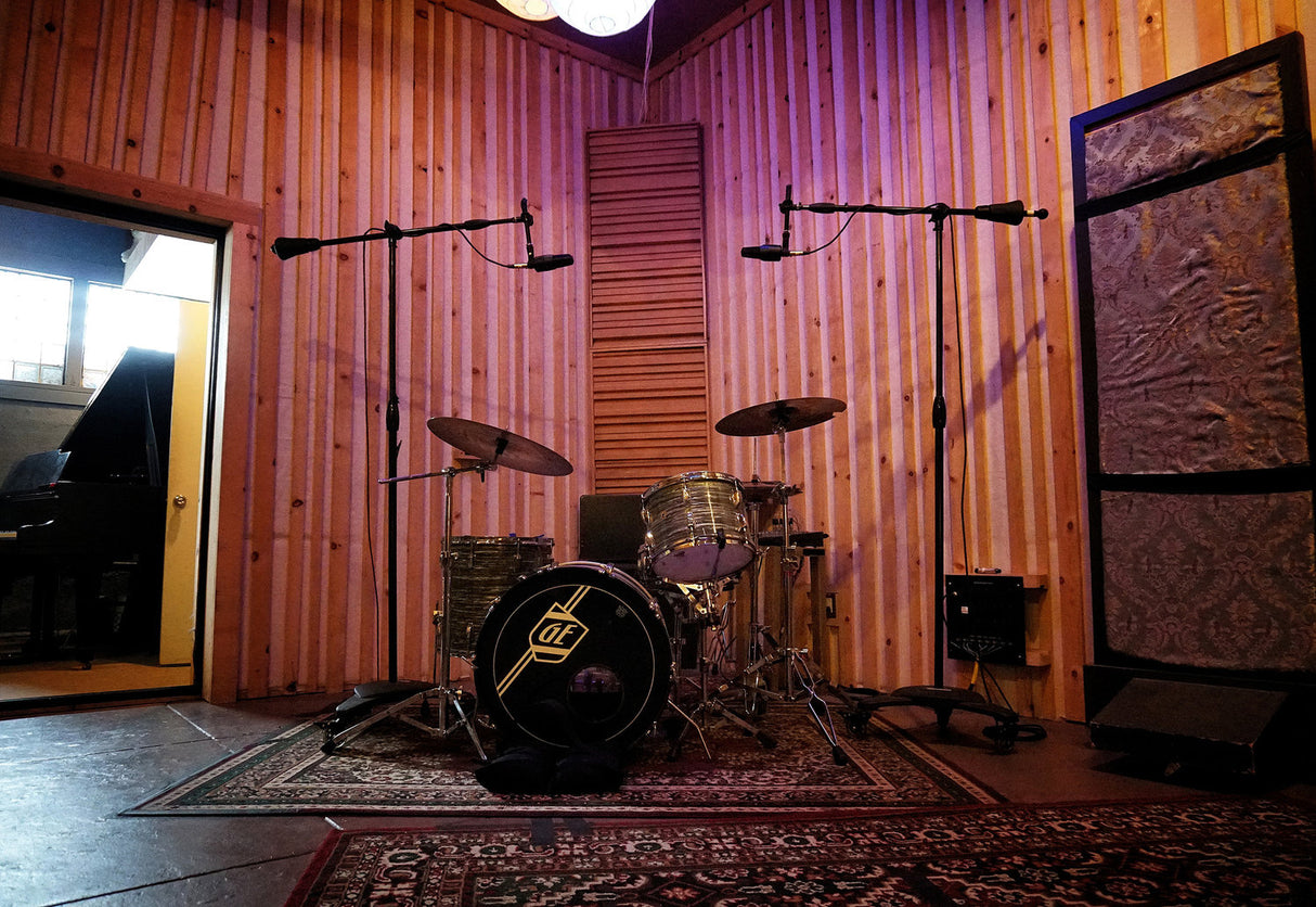 sE Electronics X1S condenser microphone