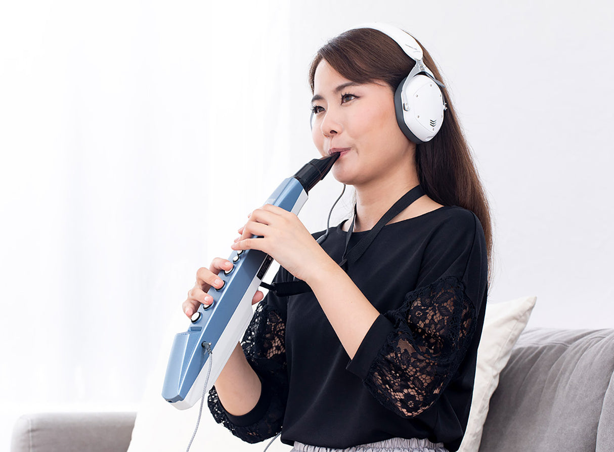 Roland AE-01 electronic recorder