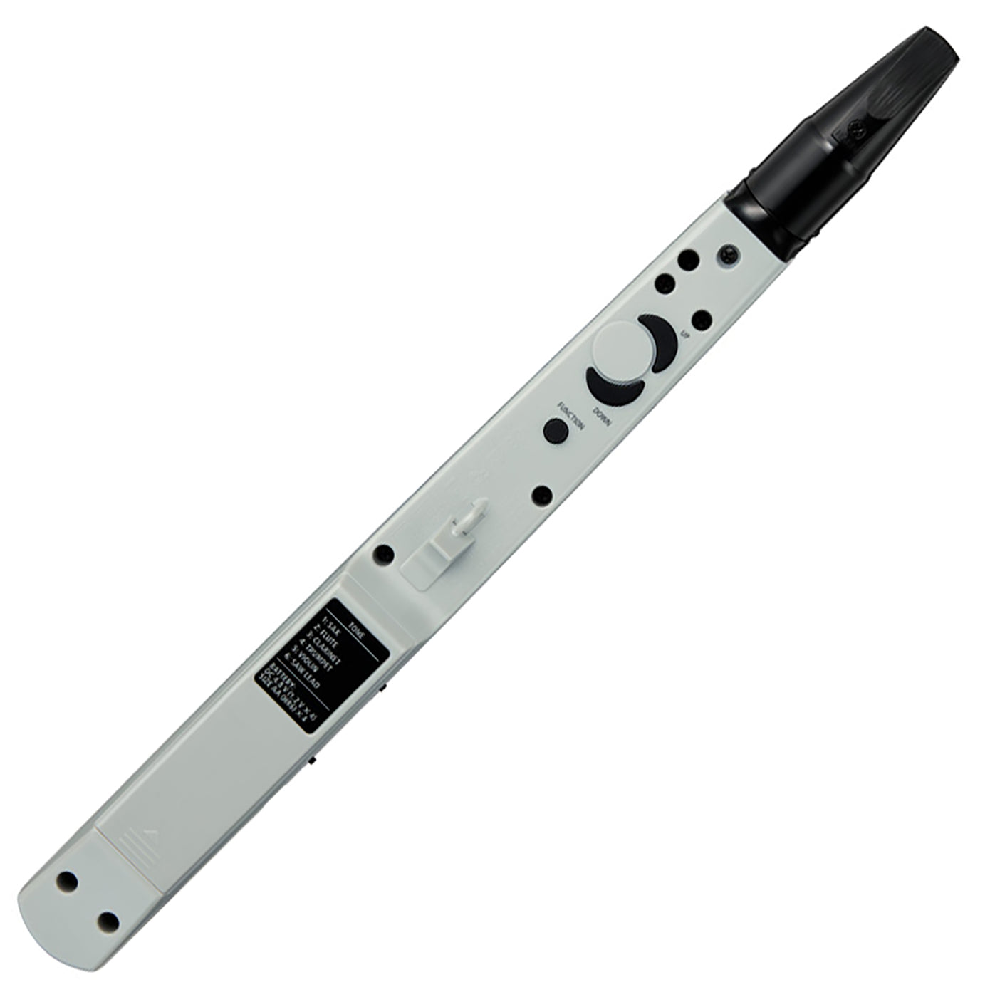 Roland AE-01 electronic recorder