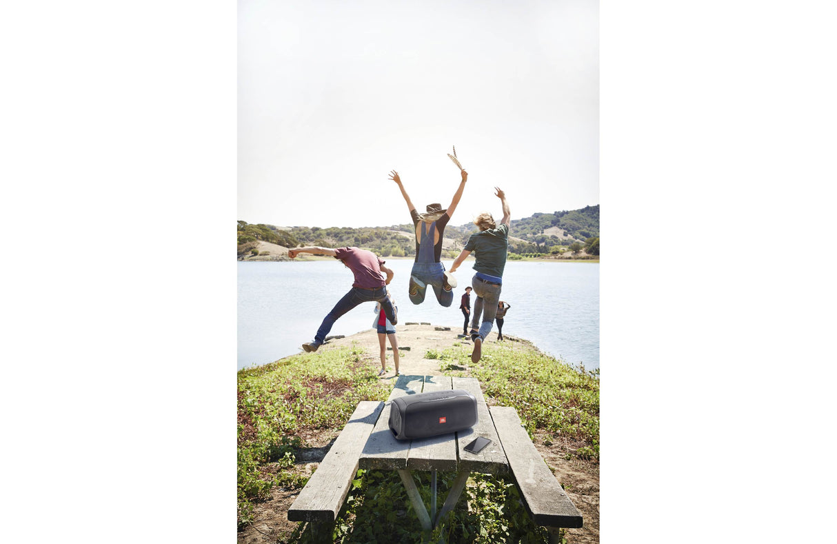 JBL BASS PRO GO, All-in-One Subwoofer & Portable Speaker