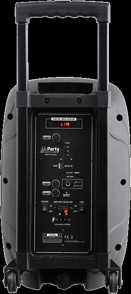 Ibiza Party8LED Festival Lautsprecher (300W)