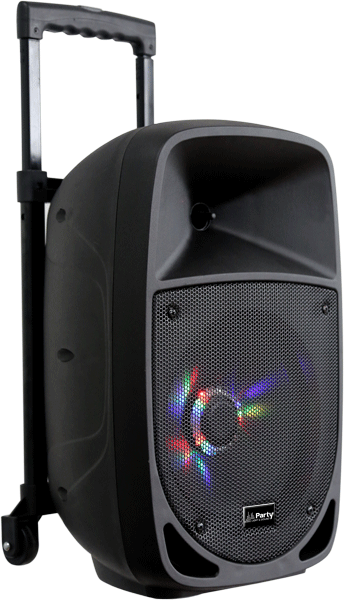 Ibiza Party8LED Festival Lautsprecher (300W)