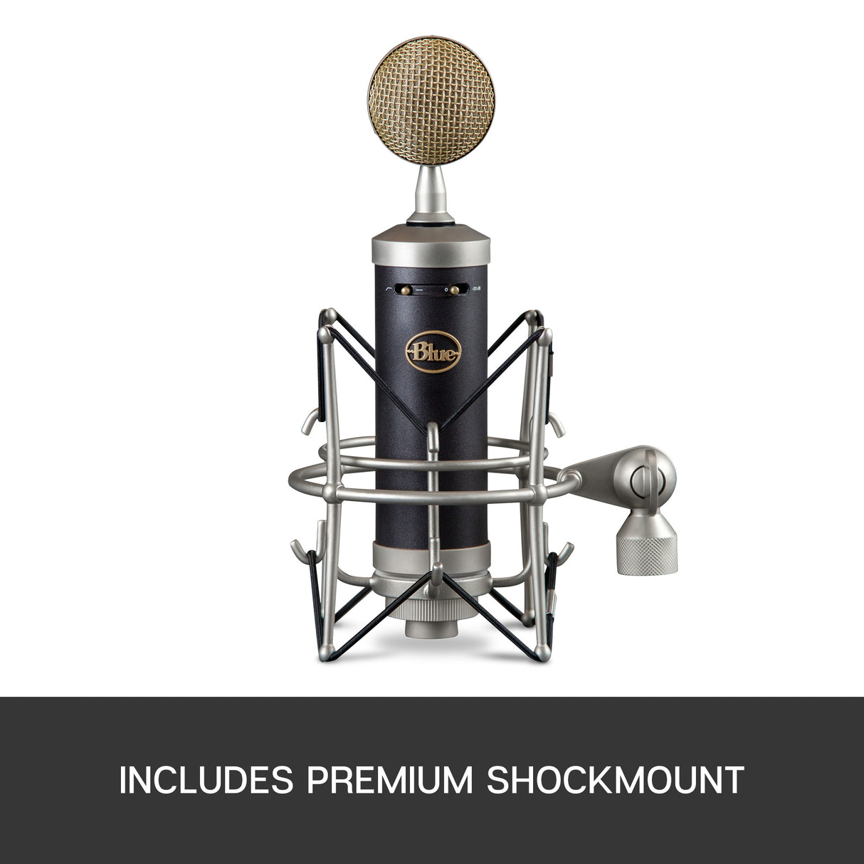 Blue Baby Bottle SL Condenser Microphone
