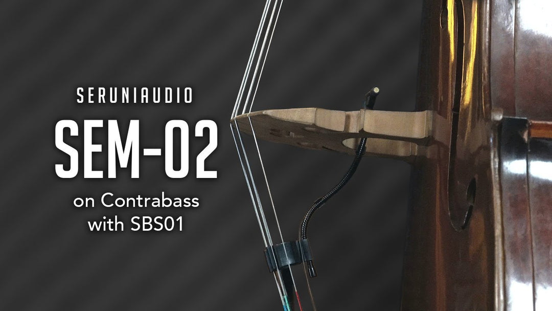 SBS01 Bass Zubehörset