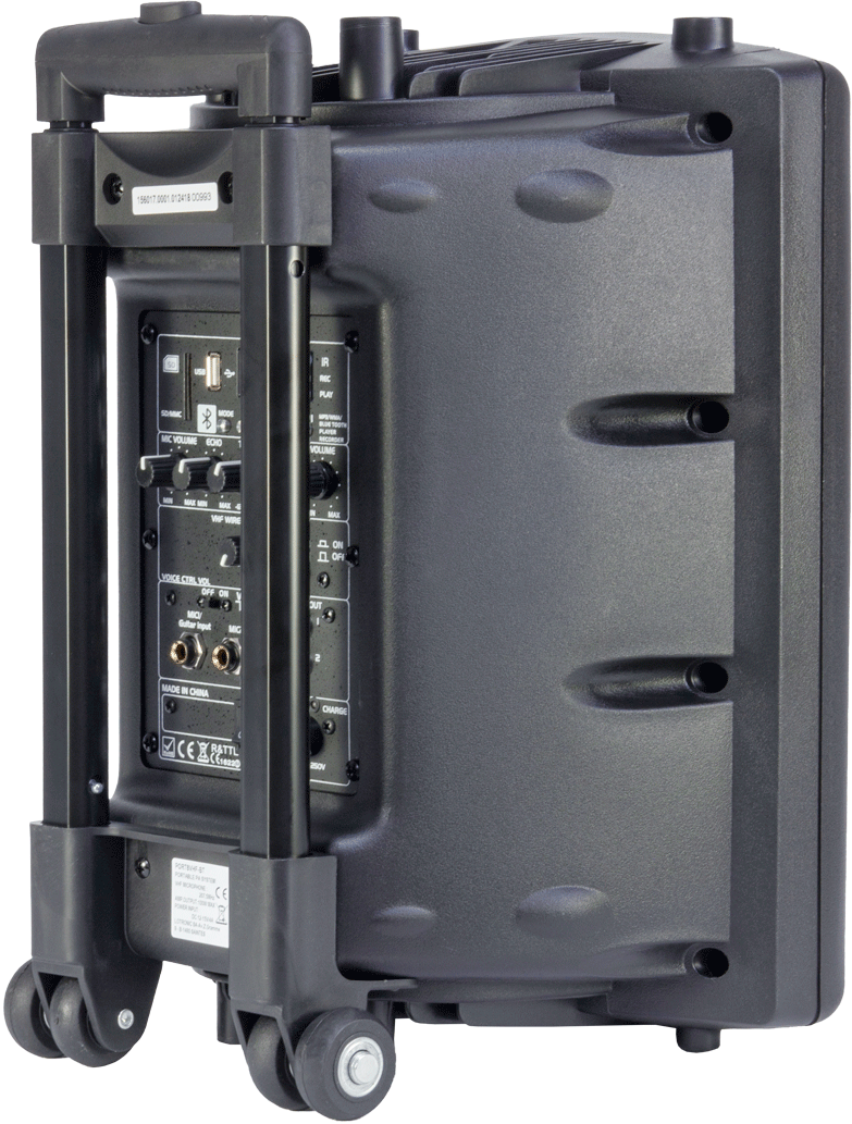 Ibiza 8" speaker with mics