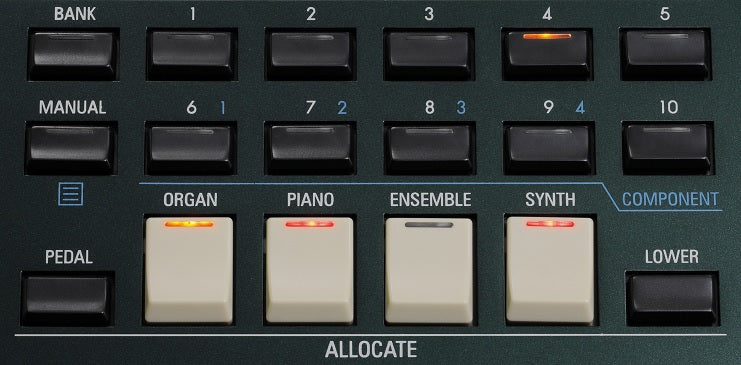 Hammond SK PRO 61 E-Orgel